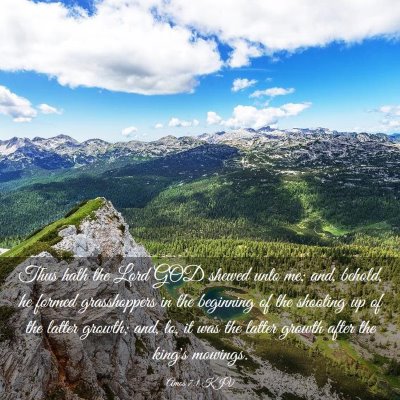 Picture 03 - Amos 7:1 KJV - Thus hath the Lord GOD shewed unto me; and, - Bible Verse Picture