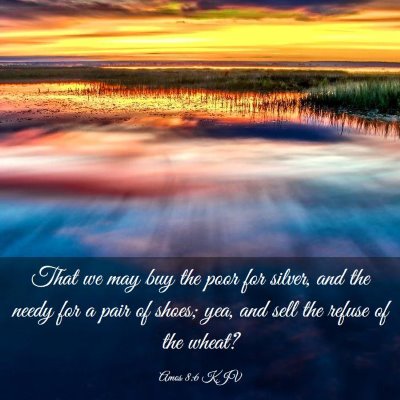 Picture 03 - Amos 8:6 KJV - That we may buy the poor for silver, and the - Bible Verse Picture