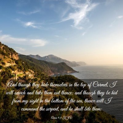 Picture 03 - Amos 9:3 KJV - And though they hide themselves in the top of - Bible Verse Picture