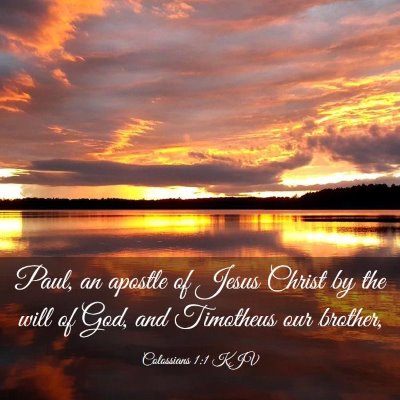 Picture 03 - Colossians 1:1 KJV - Paul, an apostle of Jesus Christ by the will of - Bible Verse Picture