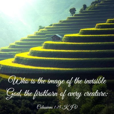 Picture 03 - Colossians 1:15 KJV - Who is the image of the invisible God, the - Bible Verse Picture