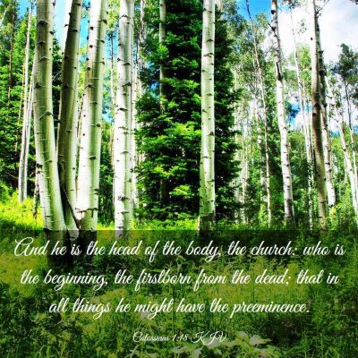 Picture 03 - Colossians 1:18 KJV - And he is the head of the body, the church: who - Bible Verse Picture