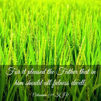 Picture 03 - Colossians 1:19 KJV - For it pleased the Father that in him should all - Bible Verse Picture