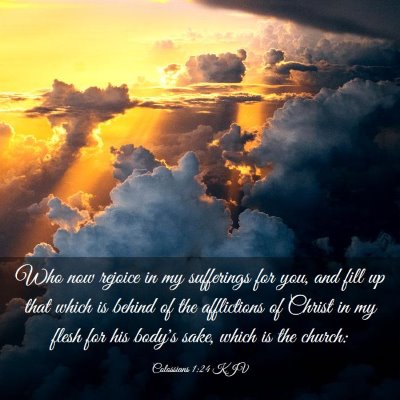 Picture 03 - Colossians 1:24 KJV - Who now rejoice in my sufferings for you, and - Bible Verse Picture