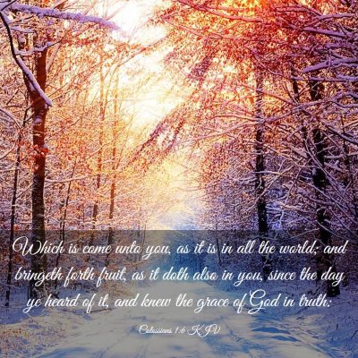 Picture 03 - Colossians 1:6 KJV - Which is come unto you, as it is in all the - Bible Verse Picture