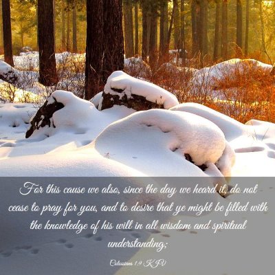 Picture 03 - Colossians 1:9 KJV - For this cause we also, since the day we heard - Bible Verse Picture