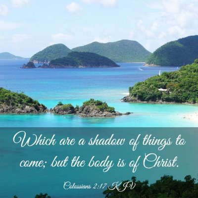 Picture 03 - Colossians 2:17 KJV - Which are a shadow of things to come; but the - Bible Verse Picture