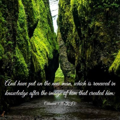 Picture 03 - Colossians 3:10 KJV - And have put on the new man, which is renewed in - Bible Verse Picture