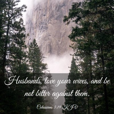 Picture 03 - Colossians 3:19 KJV - Husbands, love your wives, and be not bitter - Bible Verse Picture