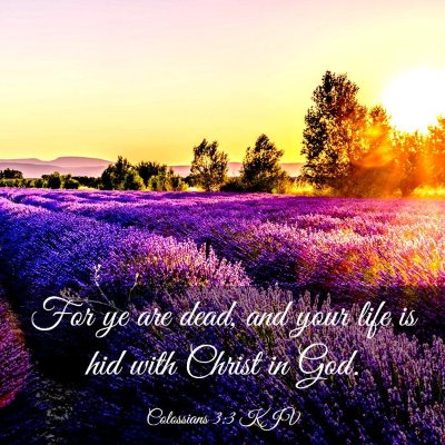 Picture 03 - Colossians 3:3 KJV - For ye are dead, and your life is hid with Christ - Bible Verse Picture