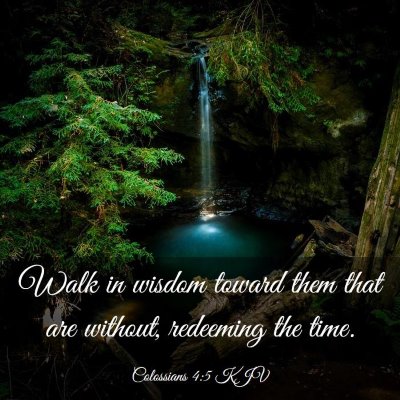 Picture 03 - Colossians 4:5 KJV - Walk in wisdom toward them that are without, - Bible Verse Picture