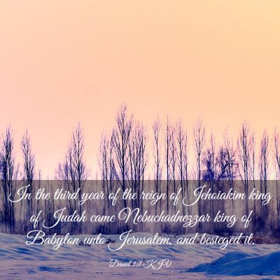 Picture 03 - Daniel 1:1 KJV - In the third year of the reign of Jehoiakim king - Bible Verse Picture