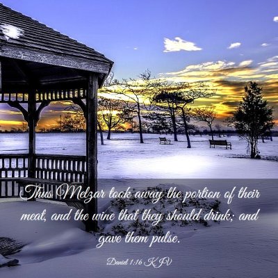 Picture 03 - Daniel 1:16 KJV - Thus Melzar took away the portion of their meat, - Bible Verse Picture