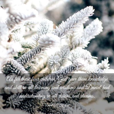 Picture 03 - Daniel 1:17 KJV - As for these four children, God gave them - Bible Verse Picture