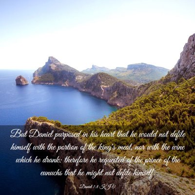 Picture 03 - Daniel 1:8 KJV - But Daniel purposed in his heart that he would - Bible Verse Picture
