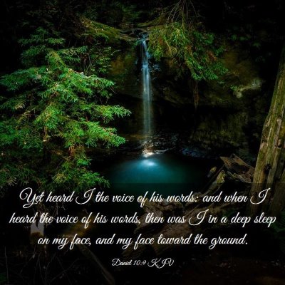 Picture 03 - Daniel 10:9 KJV - Yet heard I the voice of his words: and when I - Bible Verse Picture