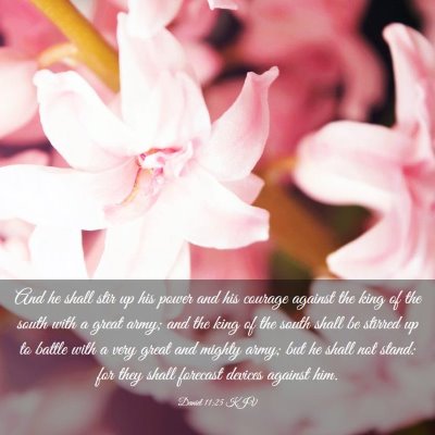 Picture 03 - Daniel 11:25 KJV - And he shall stir up his power and his courage - Bible Verse Picture