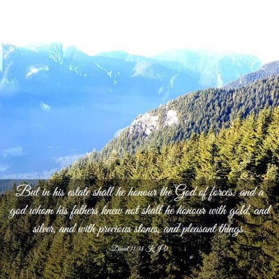 Picture 03 - Daniel 11:38 KJV - But in his estate shall he honour the God of - Bible Verse Picture