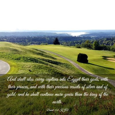 Picture 03 - Daniel 11:8 KJV - And shall also carry captives into Egypt their - Bible Verse Picture