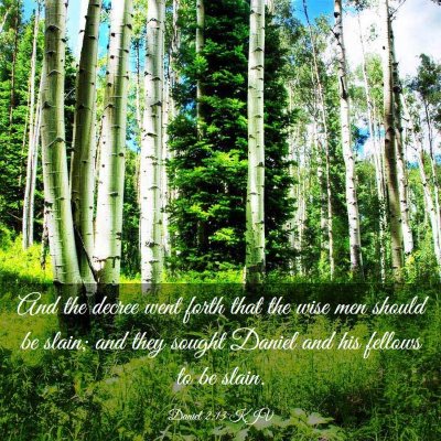 Picture 03 - Daniel 2:13 KJV - And the decree went forth that the wise men - Bible Verse Picture
