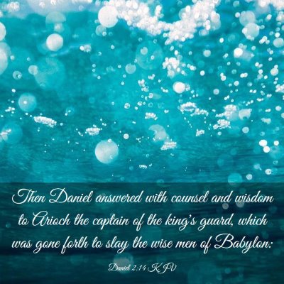 Picture 03 - Daniel 2:14 KJV - Then Daniel answered with counsel and wisdom to - Bible Verse Picture