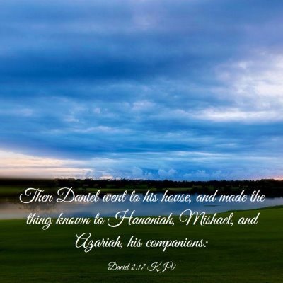 Picture 03 - Daniel 2:17 KJV - Then Daniel went to his house, and made the thing - Bible Verse Picture