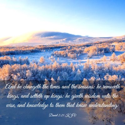 Picture 03 - Daniel 2:21 KJV - And he changeth the times and the seasons: he - Bible Verse Picture