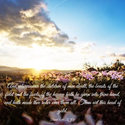 Picture 03 - Daniel 2:38 KJV - And wheresoever the children of men dwell, the - Bible Verse Picture