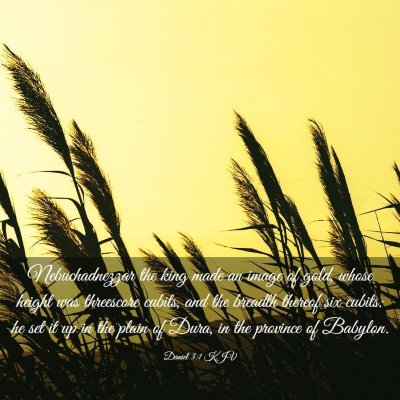 Picture 03 - Daniel 3:1 KJV - Nebuchadnezzar the king made an image of gold, - Bible Verse Picture
