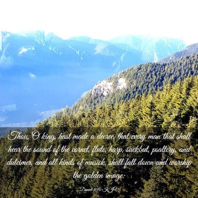 Picture 03 - Daniel 3:10 KJV - Thou, O king, hast made a decree, that every man - Bible Verse Picture