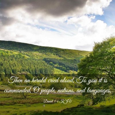 Picture 03 - Daniel 3:4 KJV - Then an herald cried aloud, To you it is - Bible Verse Picture