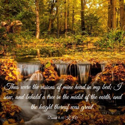 Picture 03 - Daniel 4:10 KJV - Thus were the visions of mine head in my bed; I - Bible Verse Picture