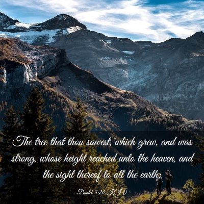 Picture 03 - Daniel 4:20 KJV - The tree that thou sawest, which grew, and was - Bible Verse Picture