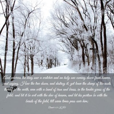 Picture 03 - Daniel 4:23 KJV - And whereas the king saw a watcher and an holy - Bible Verse Picture