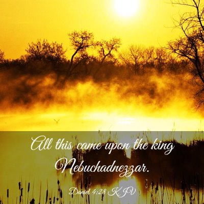 Picture 03 - Daniel 4:28 KJV - All this came upon the king - Bible Verse Picture
