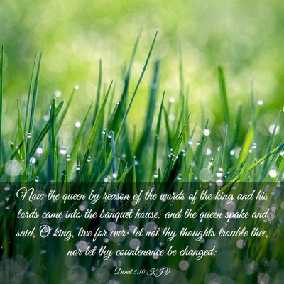 Picture 03 - Daniel 5:10 KJV - Now the queen by reason of the words of the king - Bible Verse Picture
