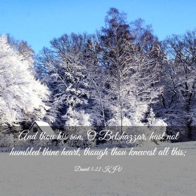 Picture 03 - Daniel 5:22 KJV - And thou his son, O Belshazzar, hast not humbled - Bible Verse Picture