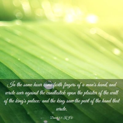 Picture 03 - Daniel 5:5 KJV - In the same hour came forth fingers of a man's - Bible Verse Picture