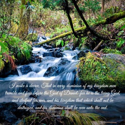 Picture 03 - Daniel 6:26 KJV - I make a decree, That in every dominion of my - Bible Verse Picture