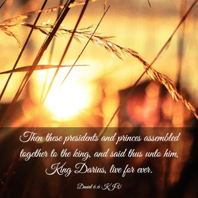 Picture 03 - Daniel 6:6 KJV - Then these presidents and princes assembled - Bible Verse Picture
