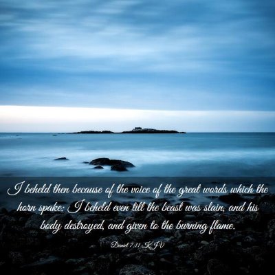 Picture 03 - Daniel 7:11 KJV - I beheld then because of the voice of the great - Bible Verse Picture