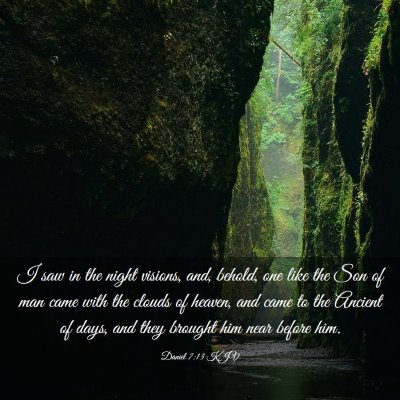 Picture 03 - Daniel 7:13 KJV - I saw in the night visions, and, behold, one like - Bible Verse Picture