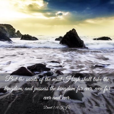 Picture 03 - Daniel 7:18 KJV - But the saints of the most High shall take the - Bible Verse Picture
