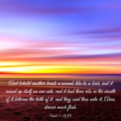Picture 03 - Daniel 7:5 KJV - And behold another beast, a second, like to a - Bible Verse Picture