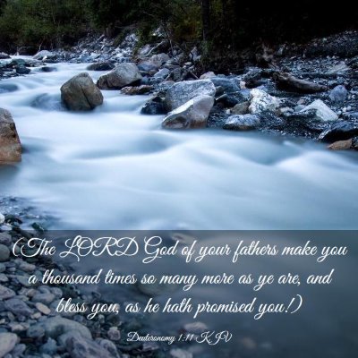 Picture 03 - Deuteronomy 1:11 KJV - (The LORD God of your fathers make you a thousand - Bible Verse Picture