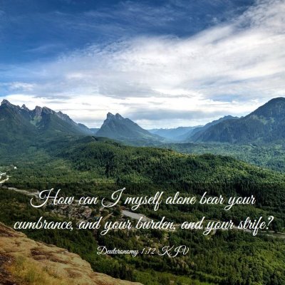 Picture 03 - Deuteronomy 1:12 KJV - How can I myself alone bear your cumbrance, and - Bible Verse Picture