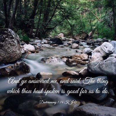 Picture 03 - Deuteronomy 1:14 KJV - And ye answered me, and said, The thing which - Bible Verse Picture