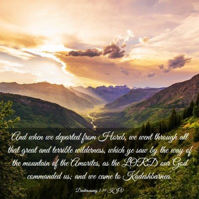 Picture 03 - Deuteronomy 1:19 KJV - And when we departed from Horeb, we went through - Bible Verse Picture
