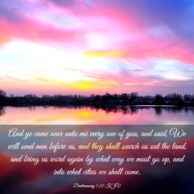 Picture 03 - Deuteronomy 1:22 KJV - And ye came near unto me every one of you, and - Bible Verse Picture