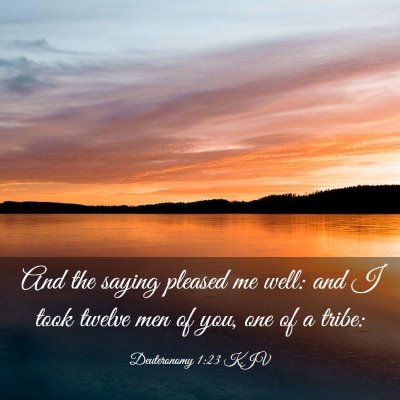 Picture 03 - Deuteronomy 1:23 KJV - And the saying pleased me well: and I took twelve - Bible Verse Picture